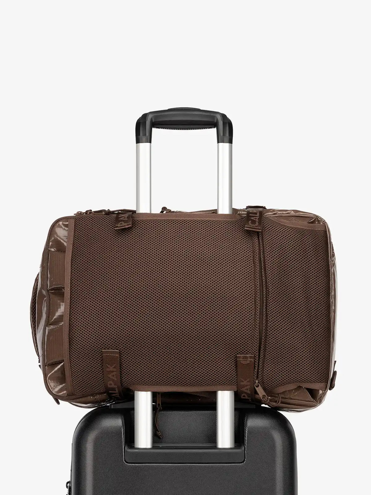 calpaktravelmaut.it.com