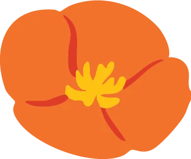 calpaktravelmaut.it.com