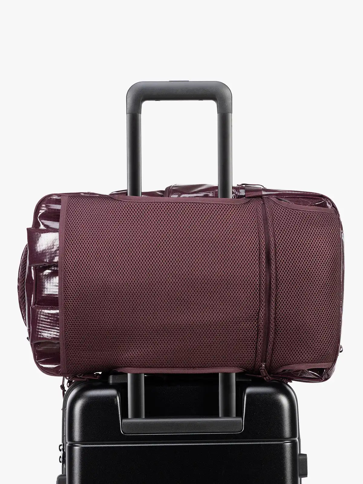 calpaktravelmaut.it.com