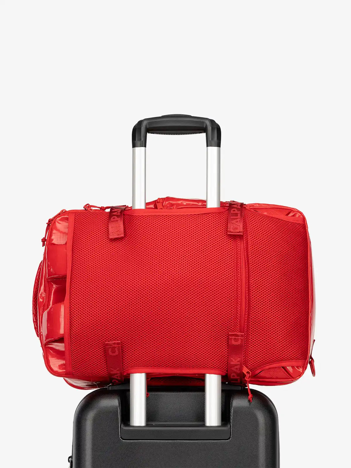 calpaktravelmaut.it.com