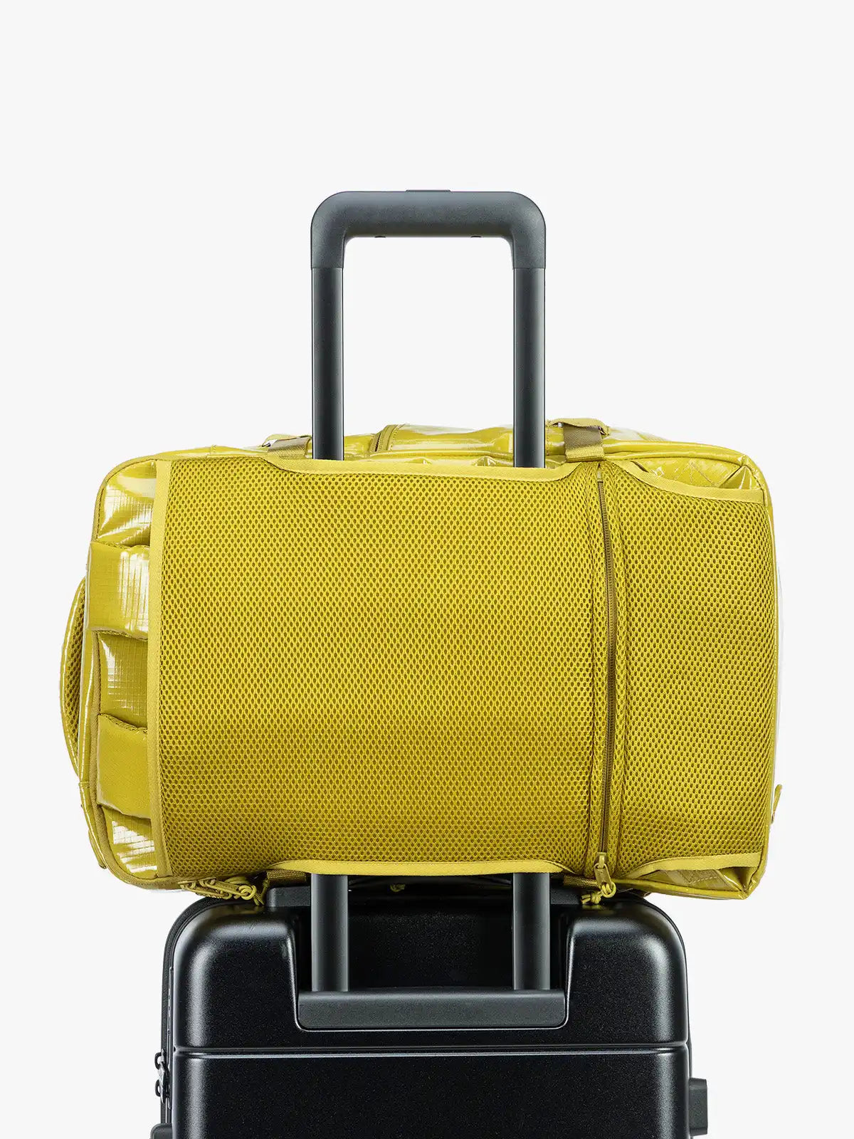 calpaktravelmaut.it.com