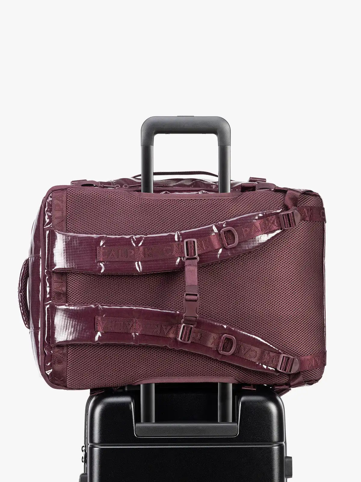 calpaktravelmaut.it.com