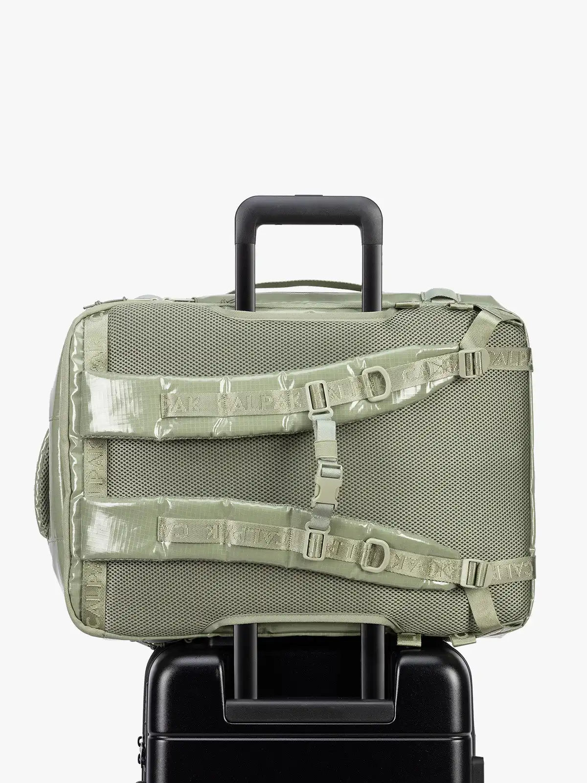 calpaktravelmaut.it.com